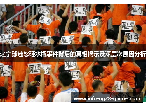 辽宁球迷怒砸水瓶事件背后的真相揭示及深层次原因分析